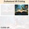 Paint by Numbers Kit for Adults – Mysterious Open Book & Dragon Canvas, Beginner Friendly, 16x20 inch, Oil Painting Style, Home Decor (Cute Dragon)